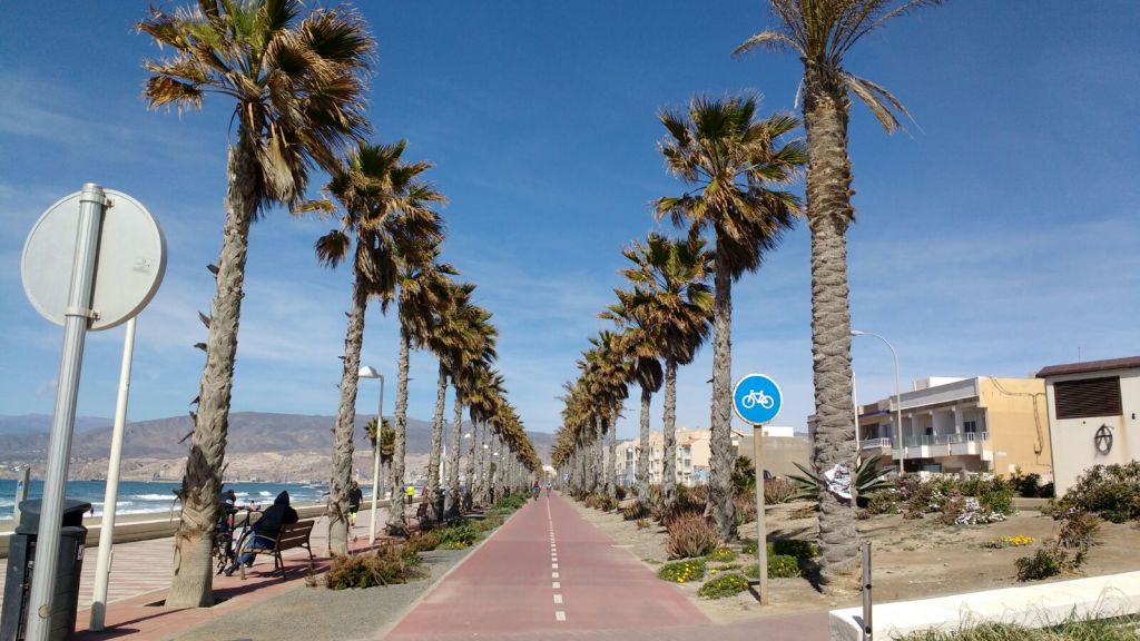 La parte de&nbsp;adelante