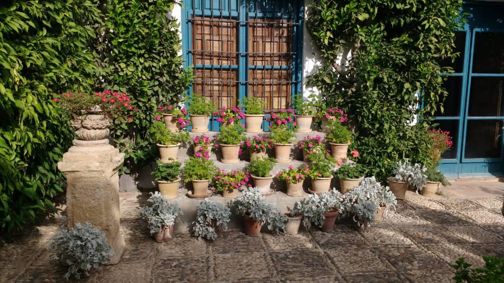 Coaching y el sentido de la&nbsp;vida