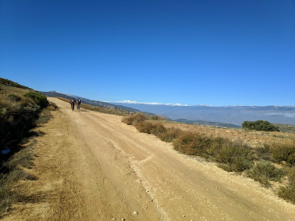 Diario del coronavirus. Cuarta parte. Del día 15 al&nbsp;19.