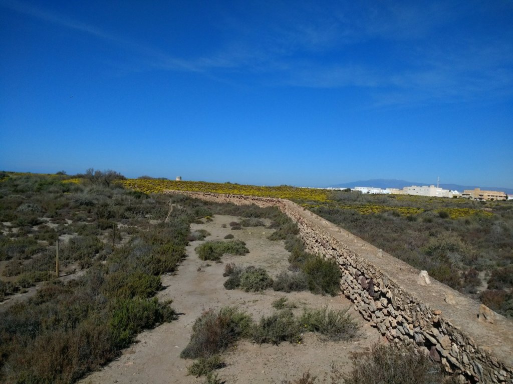 Diario del coronavirus. Novena parte. Del día 44 al&nbsp;50.