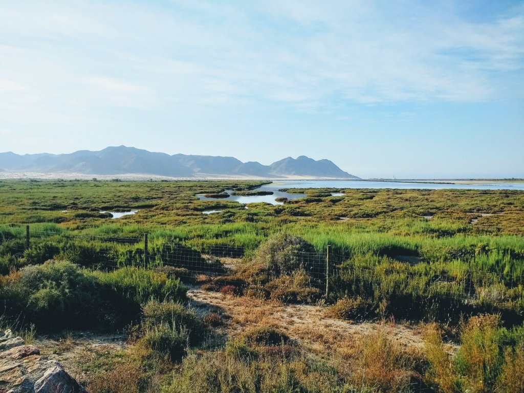 Diario del coronavirus. Décima segunda parte. Del día 65 al&nbsp;73.