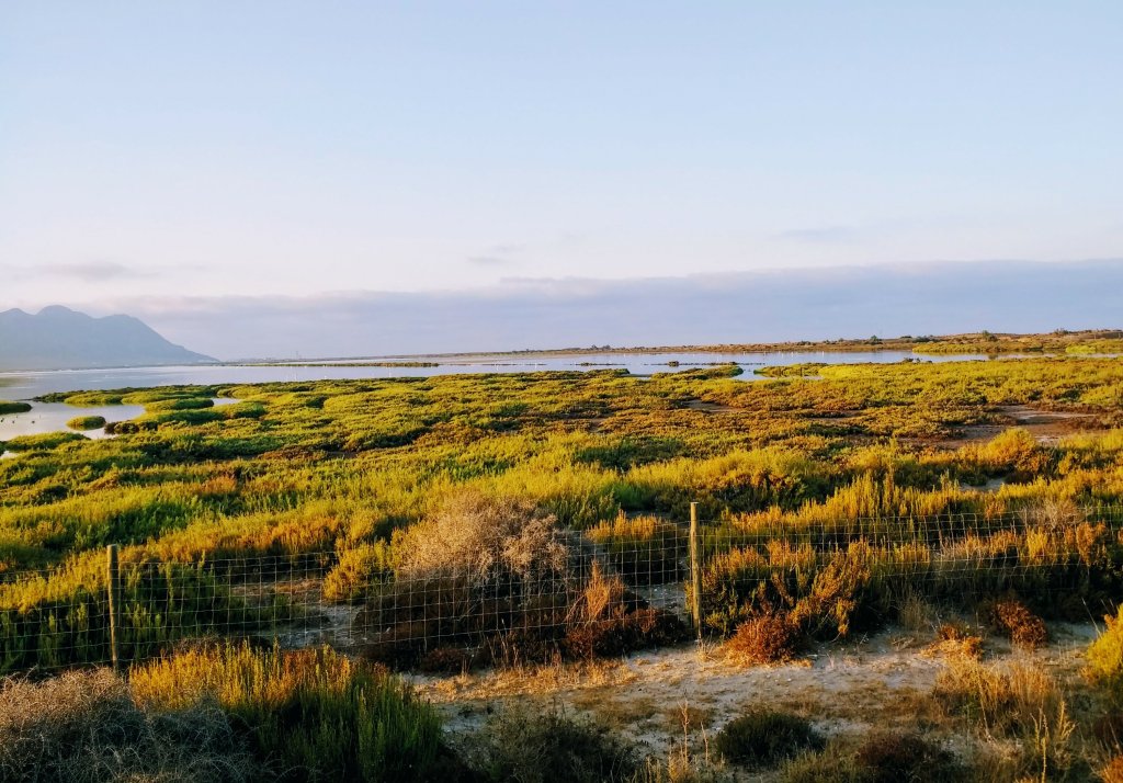 Diario del coronavirus. Parte&nbsp;XVII