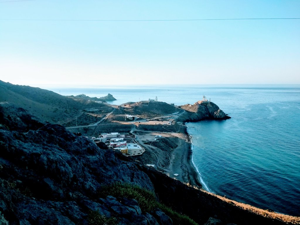 Diario del coronavirus. Parte&nbsp;XX