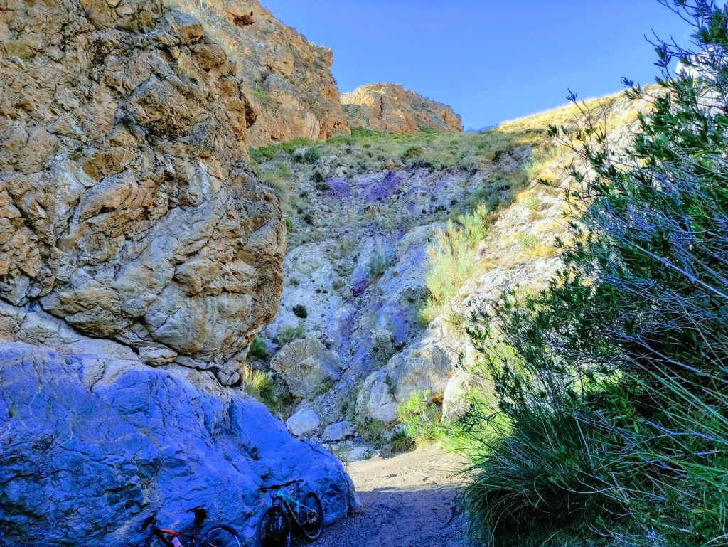 Diario del coronavirus&nbsp;XXIII