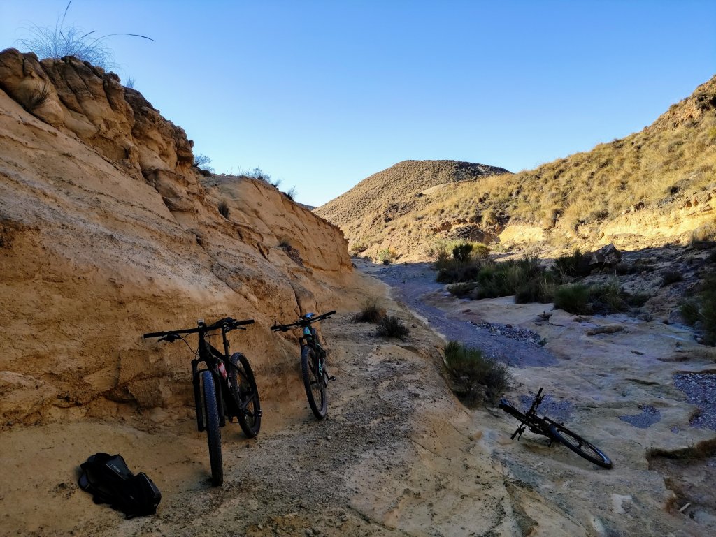 Diario del coronavirus&nbsp;XXII