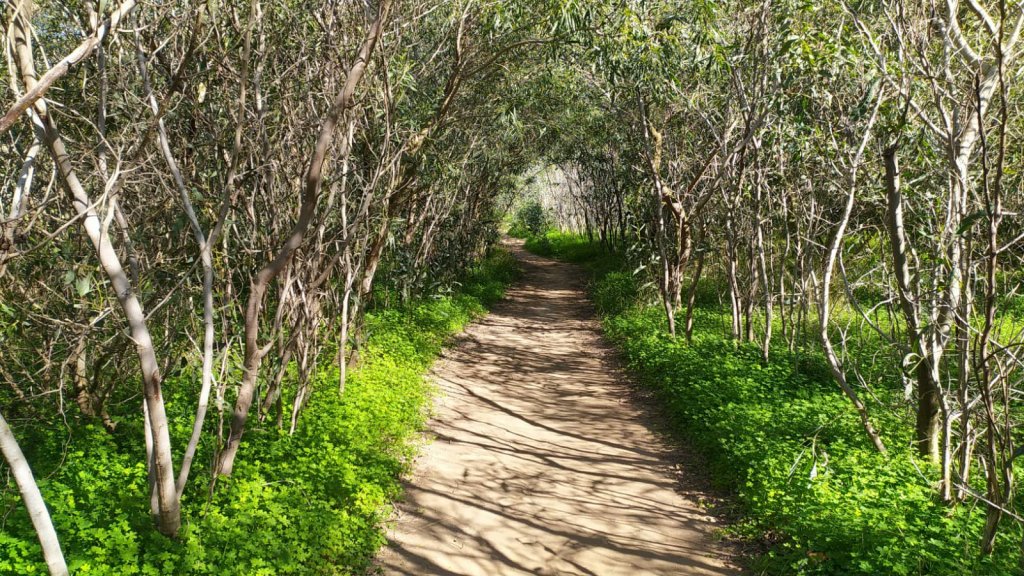 Todos los finales son los mismos&nbsp;repetidos