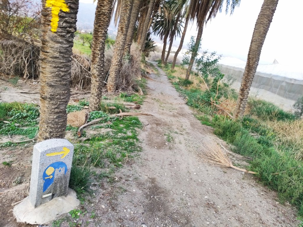 Las cosas, bueno, no&nbsp;sé…