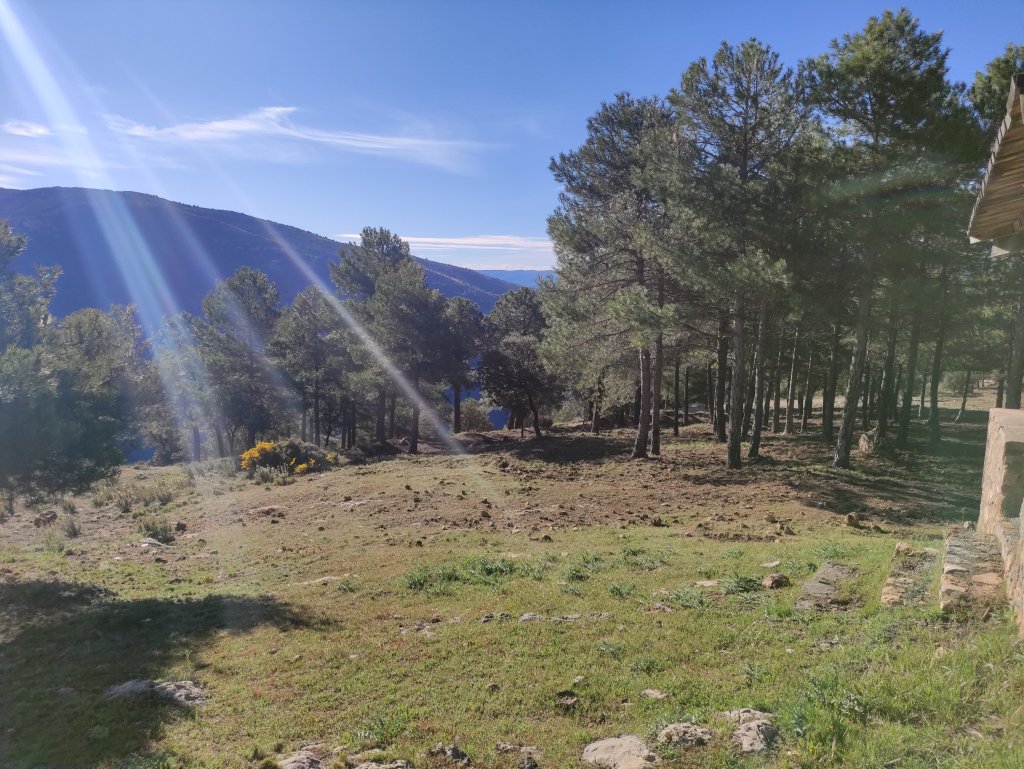 Casualidad, causalidad o sincronicidad