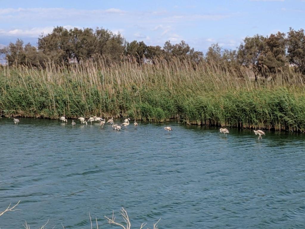 Historia de un niño&nbsp;bueno