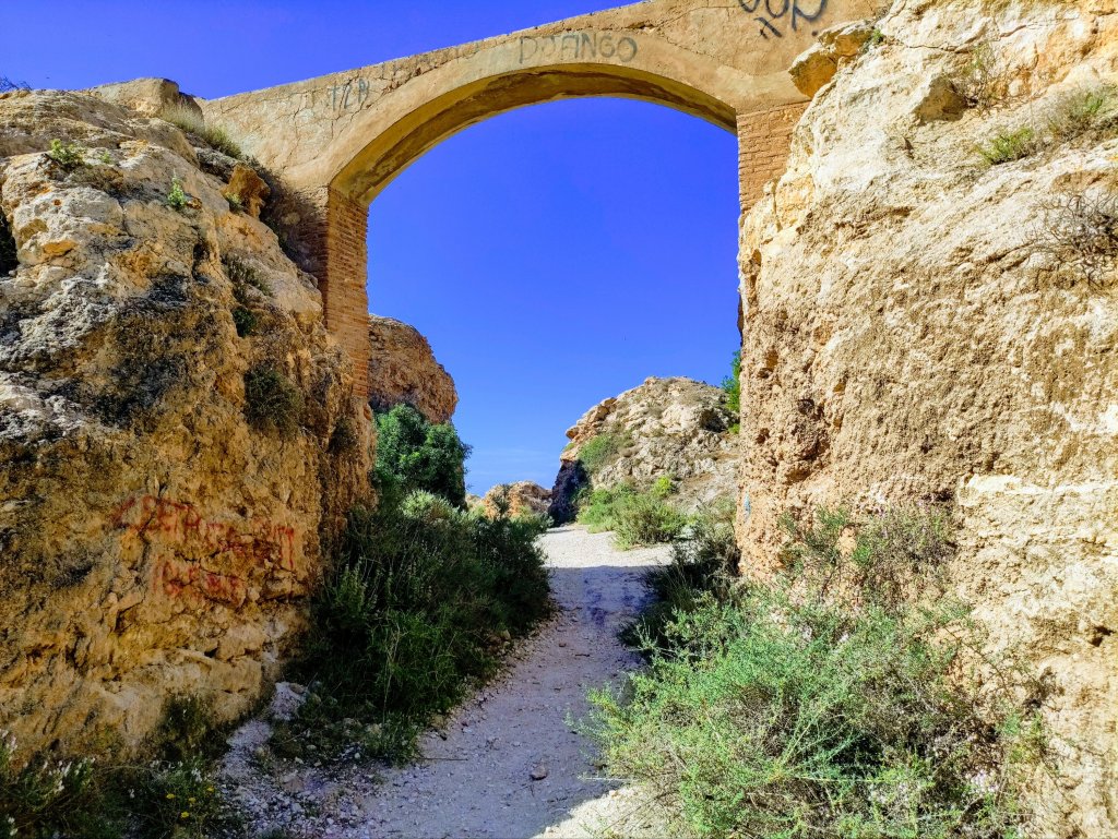 Somos seres visuales