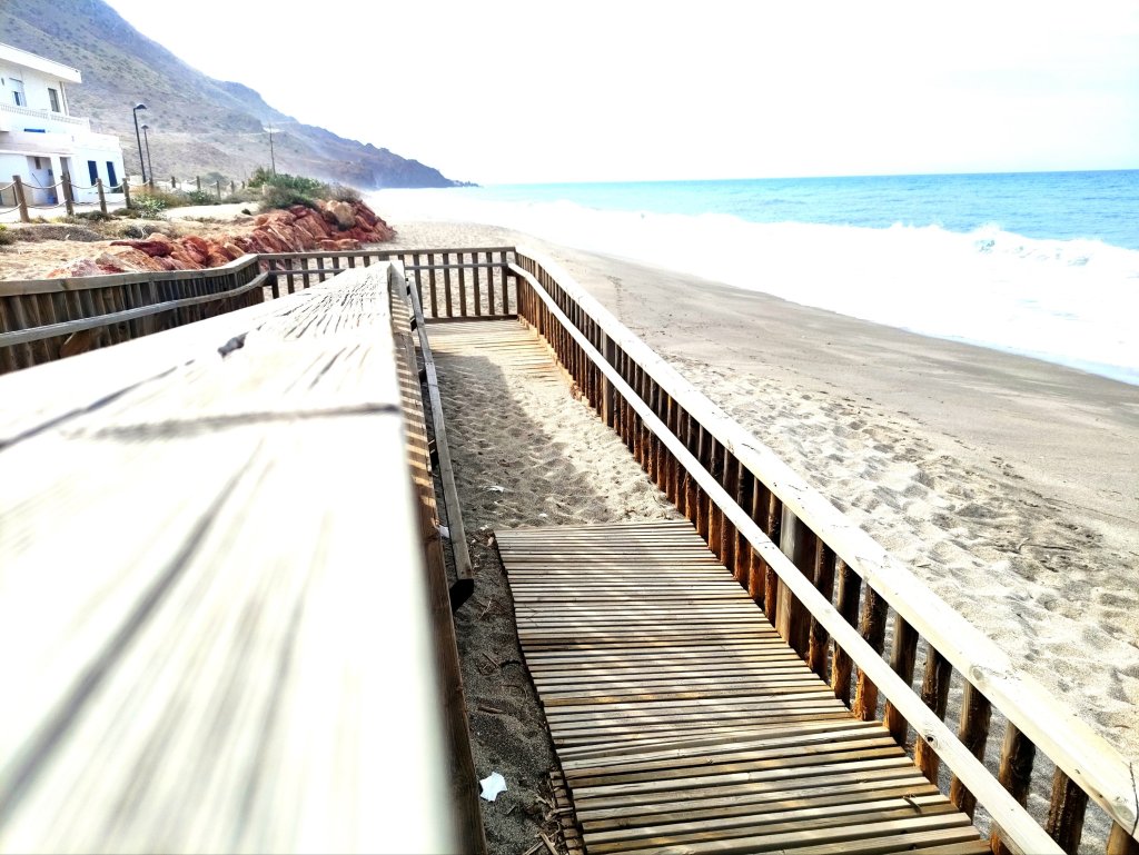 Mente consciente e&nbsp;inconsciente