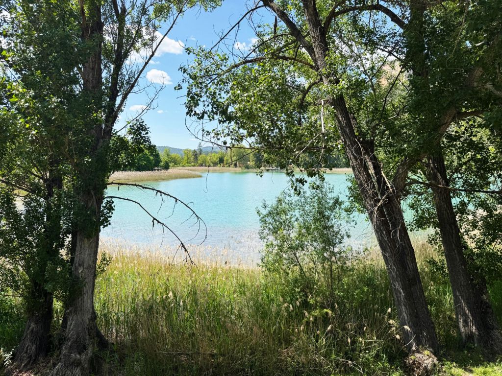 Tus pasos en la&nbsp;escalera